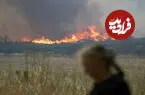 ببینید| تصاویر هوایی از جنگل‌های کاج سوخته فرانسه
