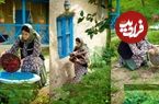 ببینید؛ غذای روستایی در ایران؛ پخت کیک آلبالو روی آتش