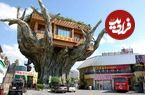 (تصاویر) معماری استثنایی و تخیلی یک رستوران در ژاپن