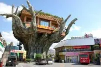(تصاویر) معماری استثنایی و تخیلی یک رستوران در ژاپن