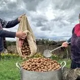 ببینید| غذای روستایی در آذربایجان؛ پخت باقلوای گردویی توسط مادر بزرگ روستایی