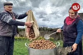 ببینید| غذای روستایی در آذربایجان؛ پخت باقلوای گردویی توسط مادر بزرگ روستایی