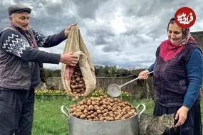 ببینید| غذای روستایی در آذربایجان؛ پخت باقلوای گردویی توسط مادر بزرگ روستایی