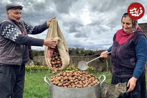 ببینید| غذای روستایی در آذربایجان؛ پخت باقلوای گردویی توسط مادر بزرگ روستایی