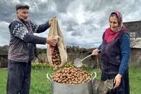 ببینید| غذای روستایی در آذربایجان؛ پخت باقلوای گردویی توسط مادر بزرگ روستایی