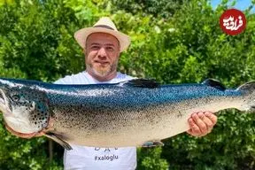 ببینید| غذای روستایی در آذربایجان؛ پخت ماهی سالمون زیر لایه ای از نمک