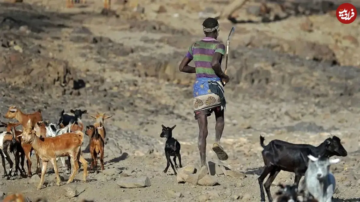  آیا انسان‌ها هنوز در حال تکامل هستند؟