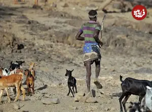  آیا انسان‌ها هنوز در حال تکامل هستند؟