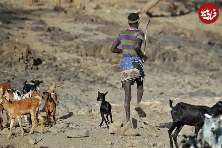  آیا انسان‌ها هنوز در حال تکامل هستند؟