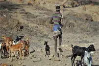  آیا انسان‌ها هنوز در حال تکامل هستند؟