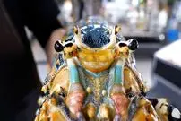 ببینید| غذای خیابانی در ژاپن؛ تهیه چند نوع غذا با لابستر غول پیکر در توکیو