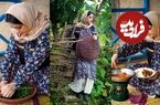 ببینید؛ غذای روستایی در ایران؛ پخت خورشت ترش واش گیلانی