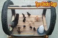 (ویدئو) نحوه ساخت یک لانه کم هزینه برای جوجه و مرغ ها با لاستیک و چوب