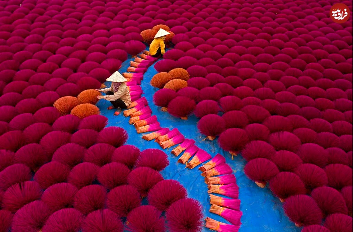 تصاویر؛ قاب‌های استثنایی عکاسی از «فرهنگ‌ها» در سال 2025