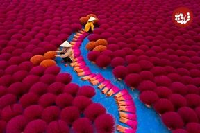 تصاویر؛ قاب‌های استثنایی عکاسی از «فرهنگ‌ها» در سال 2025