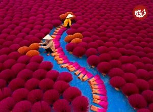 تصاویر؛ قاب‌های استثنایی عکاسی از «فرهنگ‌ها» در سال 2025