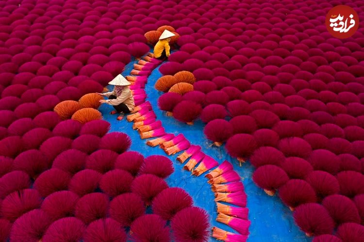 تصاویر؛ قاب‌های استثنایی عکاسی از «فرهنگ‌ها» در سال 2025