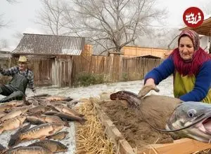 ببینید| غذای روستایی در آذربایجان؛ کباب گربه ماهی شکم پر در تنور