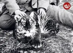 عکس| سفر زمان؛ «ببر مازندران» با کلاه قاجاری در کنار «مشیرالسلطان»