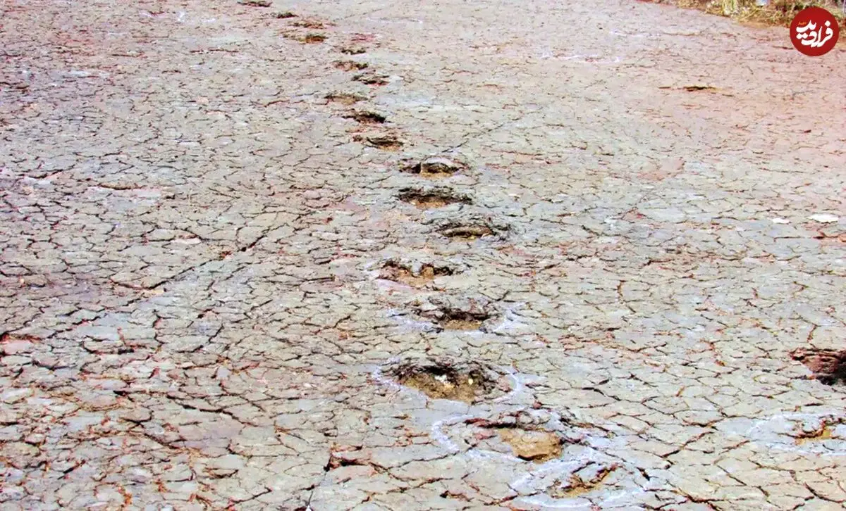 کشف ردپاهای مشابه 120 میلیون ساله در دو طرف اقیانوس اطلس