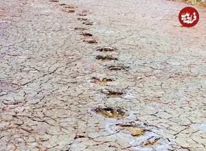 کشف ردپاهای مشابه 120 میلیون ساله در دو طرف اقیانوس اطلس