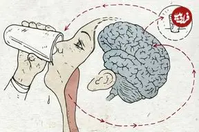 چرا حس تشنگی همیشه راهنمای دقیقی برای یادآوری زمان مصرف آب نیست؟