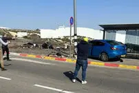 (ویدئو) چوب خدا صدا ندارد؛ تنبیه شدن قابل توجه یک گربه‌آزار
