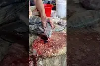 (ویدئو) سرعت عجیب این فروشنده خیابانی در قطعه قطعه کردن ماهی
