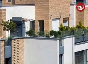 تصاویر؛ معماری ساده و اثر گذار مسکونی باغ پی در شیراز 