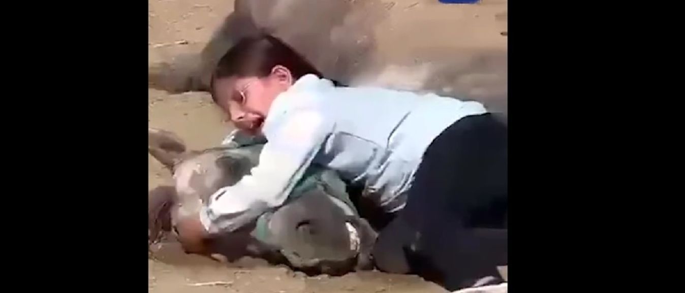 (ویدئو) گریه‌ دلخراش جوانترین دختر اسب سوار کردستان