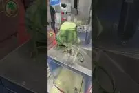 (ویدئو) ببینید این دستگاه خارق العاده چگونه پوست هندوانه را در 8 ثانیه جدا می کند!