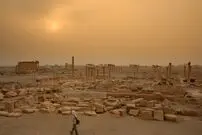 (عکس) قدیمی‌ترین الفبای جهان در این شهر پیدا شد