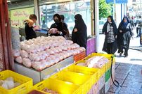 مرغ ۸۰ هزار تومانی آمد؛ مرغ ارزان را از کجا بخریم؟