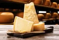 ۱۰ ماده غذایی که بیشتر از «شیر» کلسیم دارند