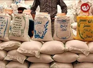 قیمت جدید برنج اعلام شد/ برنج ایرانی، هندی و پاکستانی کیلویی چند؟