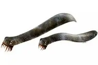 جانوری که تیزترین دندان تاریخ را داشت