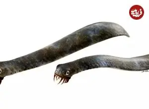 جانوری که تیزترین دندان تاریخ را داشت