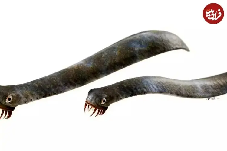 جانوری که تیزترین دندان تاریخ را داشت