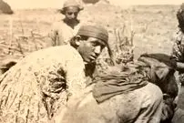 عکس| سفر به ایران قدیم؛ عشایر دوران قاجار در حال دوشیدن گوسفندان