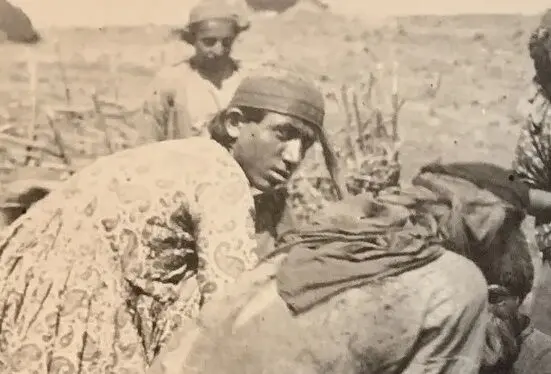 عکس| سفر به ایران قدیم؛ عشایر دوران قاجار در حال دوشیدن گوسفندان