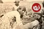 عکس| سفر به ایران قدیم؛ عشایر دوران قاجار در حال دوشیدن گوسفندان