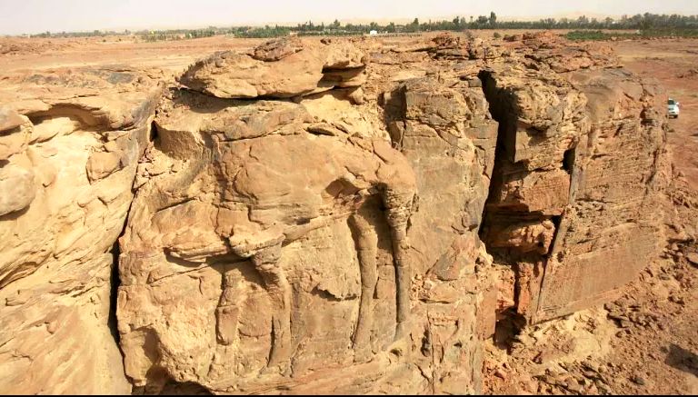 (تصاویر) کشف نقش‌‌برجسته دو هزار ساله شتر در کوه‌های عربستان