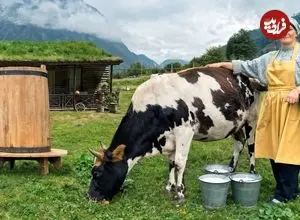 ببینید| غذای روستایی در آذربایجان؛ پخت نان سنتی و تهیه پنیر در کوهستان