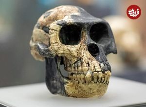 کشف فسیل‌های جدید در اتیوپی، راز میلیون‌ها سال تکامل بشر را آشکار کرد