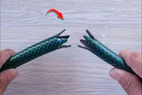 (ویدئو) نحوه تعمیر شلنگ خراب و وصل کردن دوباره آن به روشی ساده 