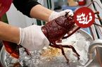 ببینید؛ غذای خیابانی در تایلند؛ پخت غذا با لابستر قرمز و تخم مرغ در بانکوک