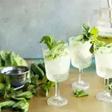 نوشیدنی خانگی دلپذیر، شربت سکنجبین نعنای تازه برای روزهای گرم