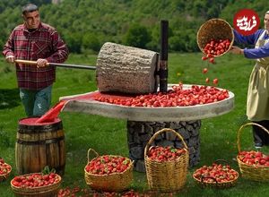 ببینید؛ غذای روستایی در آذربایجان؛ تهیه مربای توت فرنگی در طبیعت
