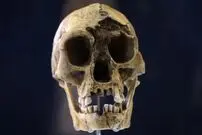 خشکسالی، گرسنگی و مواجهه با انسان خردمند، آخرین فصل زندگی هابیت‌ها را رقم زد