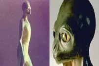 ( عکس) اگر دایناسورها منقرض نمی‌شدند، امروز چه شکلی بودند؟